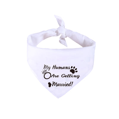 Pañuelo Blanco para Perro - Joyería Nupcial San Valentín - Image 4