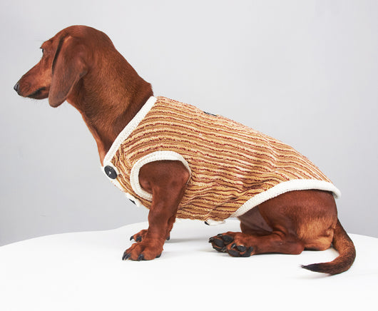 Sudadera Hoodie a Rayas para Perros Miniatura Yorkshire y Bichon - Image 14