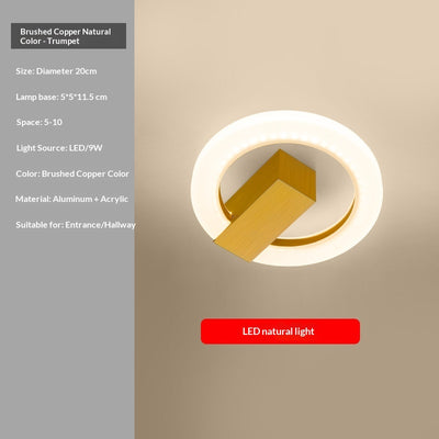 Lámpara de Techo LED Minimalista Nórdica para Recibidor y Entrada - Image 8