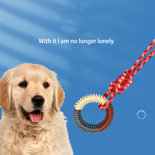 Juguete Mordedor Resistente para Perros con Cuerda Trenzada de Colores Vibrantes