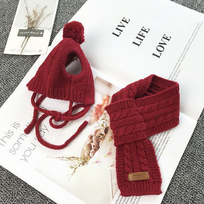 Gorro y Bufanda para Perro - Colección Otoño Invierno - Image 10