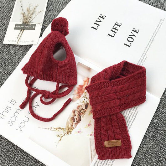 Gorro y Bufanda para Perro - Colección Otoño Invierno - Image 10