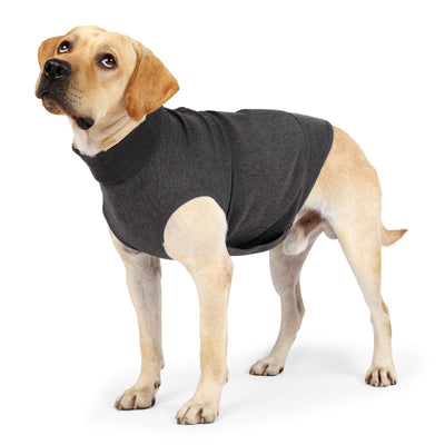 Chaqueta Doble de Algodón Reconfortante para Mascotas - Image 2