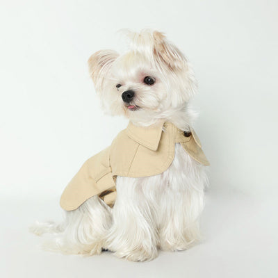Abrigo Impermeable Británico para Perros - Ropa de Verano - Image 8
