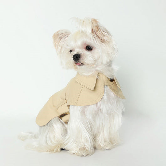 Abrigo Impermeable Británico para Perros - Ropa de Verano - Image 8