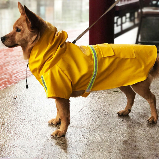 Impermeable para Perros con Capucha y Reflectantes de Seguridad - Image 9