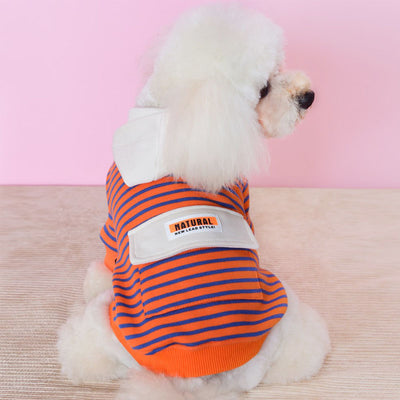 Suéter Deportivo con Capucha para Perros Pequeños - Diseño a Rayas - Image 4