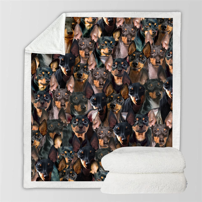 Manta Flanela Estampada para Perros de Moda - Image 69