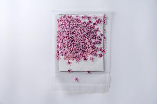 Marcapáginas con Flor de Cerezo Deshidratada - Accesorio Ornamental con Espécimen Botánico - Image 11