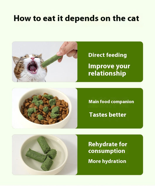 Palitos de Pasto Liofilizado para Gatos - Limpieza Dental y Nutrición - Image 11