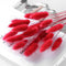 Grande Rojo 20 Branches
