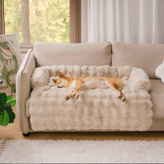 Sofá Cama Desmontable para Mascotas con Cojín Lavable - Image 5