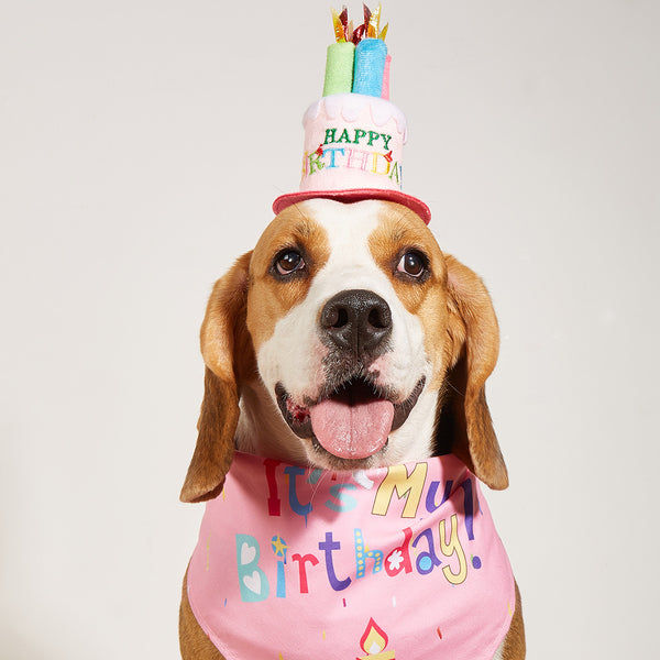 Babero Triangular Estampado con Diseño de Perrito para Cumpleaños