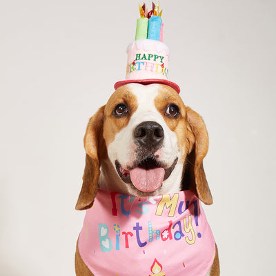 Babero Triangular Estampado con Diseño de Perrito para Cumpleaños