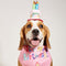 Babero Triangular Estampado con Diseño de Perrito para Cumpleaños