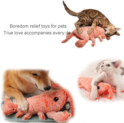 Juguete Langosta Saltarina para Gatos y Perros Pequeños - Juguete Interactivo Recargable USB - Image 5