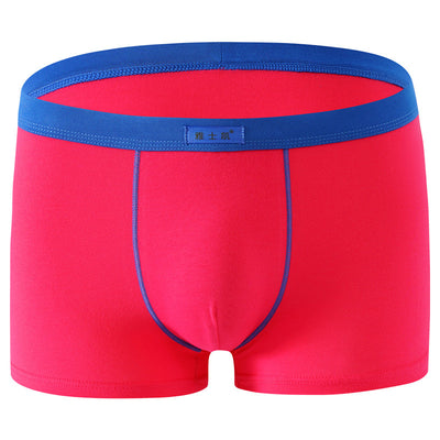 Shorts de Algodón Talla Grande Cómodos y Sensuales - Image 7