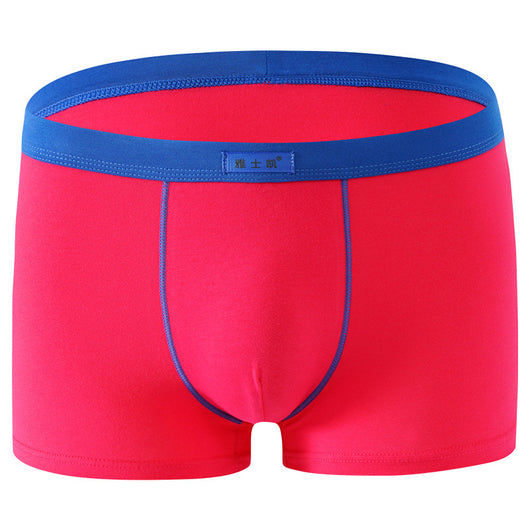 Shorts de Algodón Talla Grande Cómodos y Sensuales - Image 7