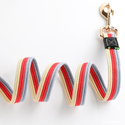 Cuerda de Tracción para Perros - Poliéster Resistente de Un Solo Tramo - Image 6