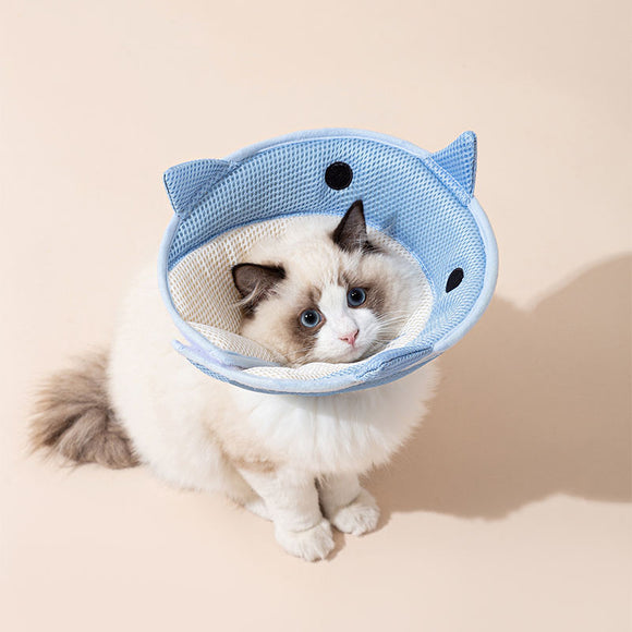 Colar Elizabetano Suave para Gatos e Filhotes - Proteção Confortável para Cicatrização de Feridas