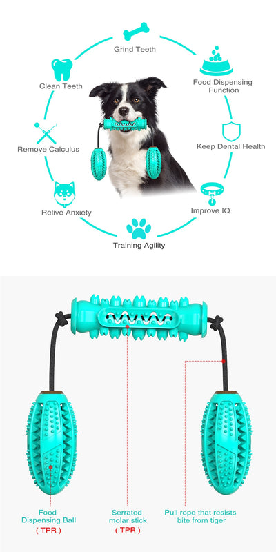 Juguete Masticable Dental para Perros - Limpieza de Dientes y Diversión - Image 8