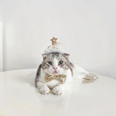 Gorro de Cumpleaños para Gatos con Lentejuelas Doradas y Plateadas - Image 11