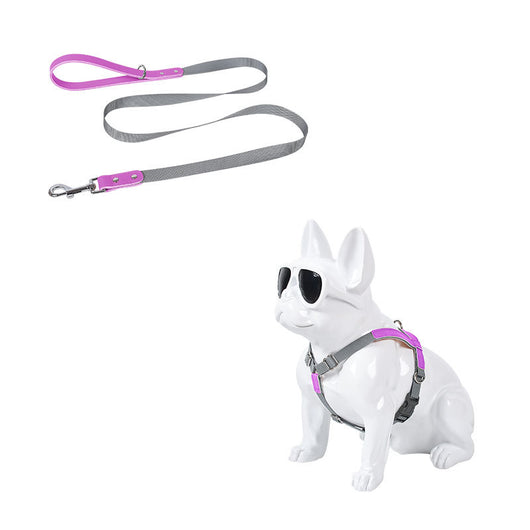 Arnés de Pecho para Perro en Cuero con Correa de Nylon - Image 25