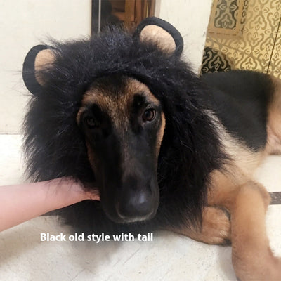 Funda Divertida Cabeza de León - Accesorios Mascotas Rey de la Selva - Image 3