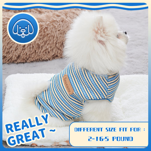 Chaleco Refrigerante para Perros Pequeños - Ropa de Diseño para Chihuahua y Mascotas - Image 9