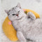 Almohada Cervical en Forma de U con Catnip para Gatos - Soporte y Relajación