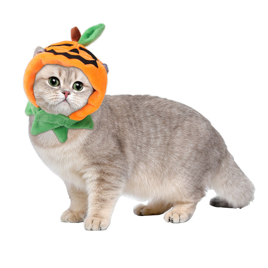 Gorro Rizado Divertido para Mascotas - Disfraz Cómico para Gatos y Perros - Image 39