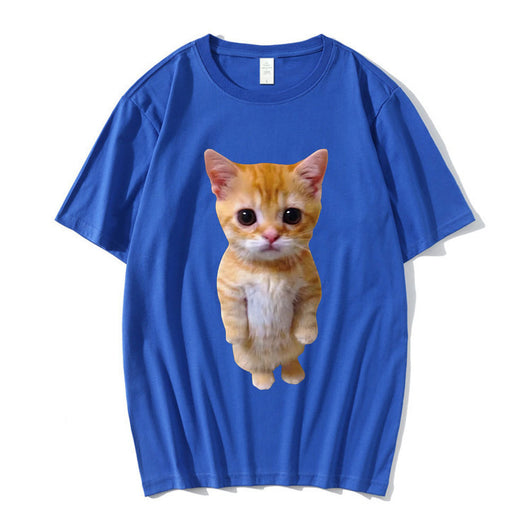 Gatito Triste Llorando - Peluche Munchkin Adorable - Image 13