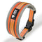 Collar para Perro Grande Pipi Tao Lycra
