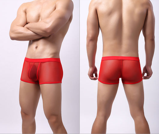 Bóxers Transpirables de Malla para Hombre - Cintura Baja Ultraligero - Image 16
