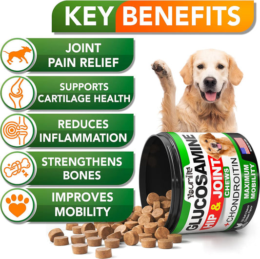 Youmile Glucosamine Hip & Joint Chews for dogs, chicken flavor, 120 soft chews, with a Golden Retriever.
