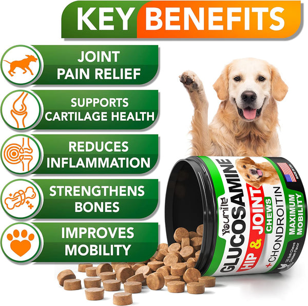 Youmile Glucosamine Hip & Joint Chews for dogs, chicken flavor, 120 soft chews, with a Golden Retriever.