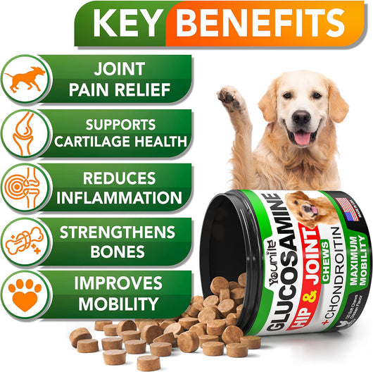 Youmile Glucosamine Hip & Joint Chews for dogs, chicken flavor, 120 soft chews, with a Golden Retriever.