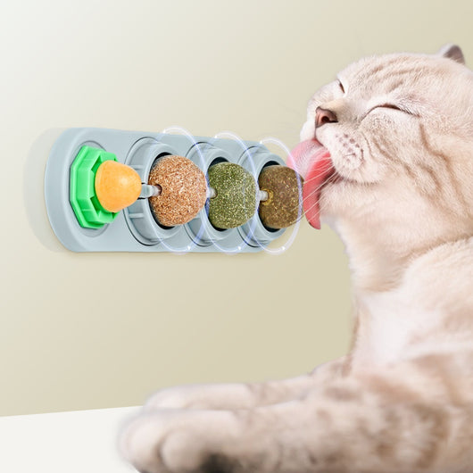 Snacks Masticables para Gatos - Limpieza Dental de Larga Duración - Image 9