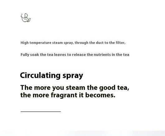 Hervidor Eléctrico de Vapor 110V con Tetera de Cristal y Spray Negro - Image 20