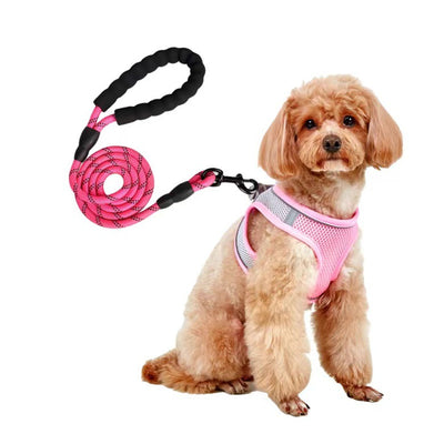 Small light brown poodle wearing an orange mesh dog vest harness with reflective trim and a retractable leash. - Image 15