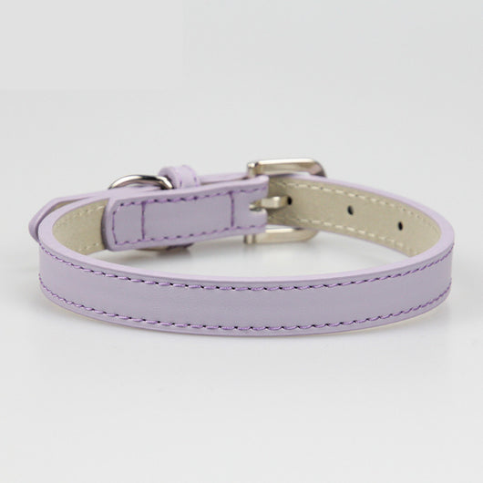 Collar de Cuero para Perro Pequeño Mediato Teddy - Image 8