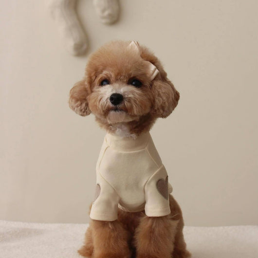 Suéter Bordado para Perro - Abrigo Otoño e Invierno - Image 3