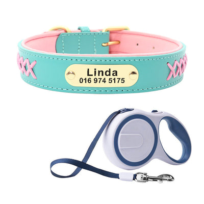 Collar Identificación Perros Medianos y Grandes Antiextravío - Image 12