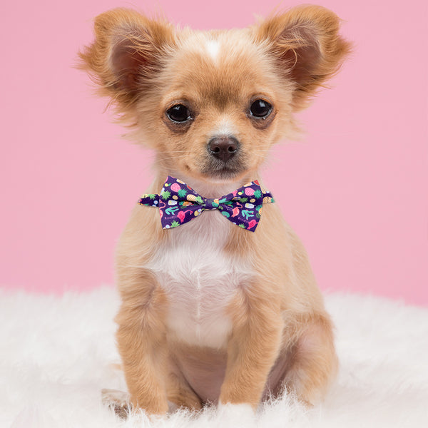 Moño Decorativo Cactus para Perros y Gatos - Accesorios de Moda para Mascotas