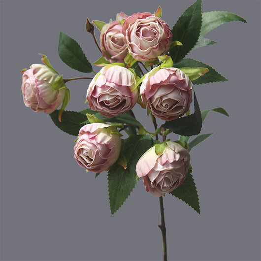 Rosa Clásica Francesa con Bordes Quemados - Flor Seca Artificial - Image 8
