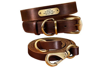 Collares Personalizados para Perros Medianos y Grandes con Placa de Identificación - Image 14
