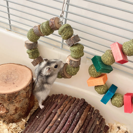 Juguete Mordedor Totoro para Hamster, Conejo y Cobaya - Bola de Paja y Rama de Manzano - Image 4