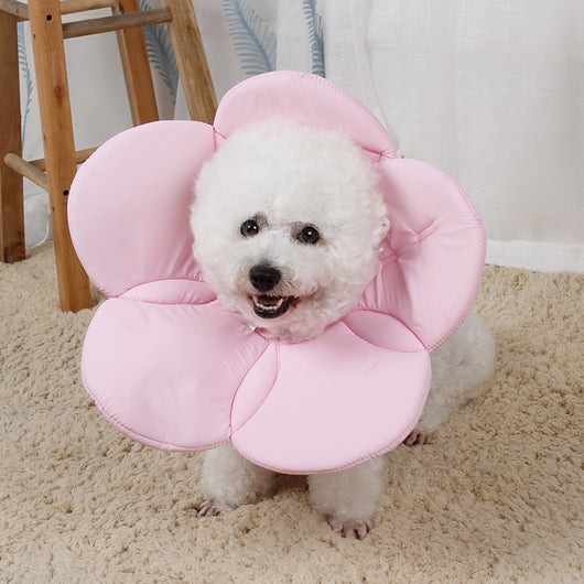 Protector Antirraspuños para Mascotas con Diseño Floral - Image 8