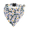 Morado Collar And Saliva Toalla S