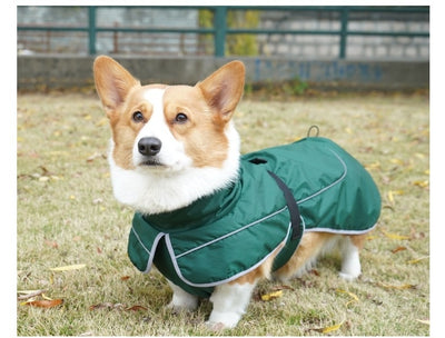 Abrigo Térmico Protector para Perros - Image 10